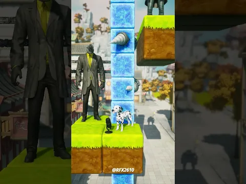 Choose the best dog for drill man & camera woman