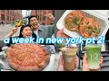 a week in new york city pt 2 bagels pizza chinatown shopping more