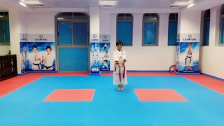 الكاتا 6 تيكي شودان اللاعب حمزه هاني دالاتي 21 03 2017 نادي شامبيونز للكاراتيه Kata 5 Tiki Shu 