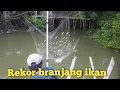 Lagu Branjang ikan atau anco ikan muara sungai kecil hasil luar biasa
