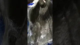 Episode 6 preview #totalboat #fiberglass