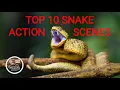 Download Lagu TOP 10 scènes met wilde slangen, DE BESTE SLANGENACTIE, slangenjacht, slangengevecht