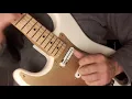 Fender EOB Ed O'Brien Sustainer Stratocaster