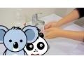 Download Lagu [Video Edukasi Anak] Cara Mencuci Tangan Yang Benar