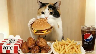 Kitten Mukbang: Immersive KFC Feast #cat #cutecat #catlove #mukbang