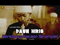 Download Lagu Daun Hiris Versi Tarompet Sunda ll Cipt Cicih Cangkurileung