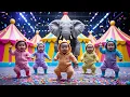 Lagu Dudi Dudi Dam Dam Dance || Dodi Dodi Dum Dum Kids Dance | Duty Duty Dam Dam | Kids \u0026 Babies Rhymes