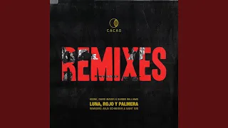 luna rojo u0026 palmera saint evo remix 