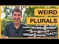 Weird plurals in English Men geese sheep knives and many more