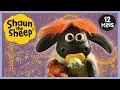 Download Lagu Bagpipe Buddy - Hair Today, Gone Tomorrow🎵 Shaun the Sheep Season 2 Full Episodes🐑 Cartoons for Kids