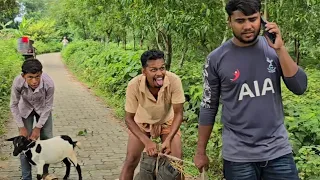 The goat was stolen🤣🤣🤣