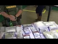 Brevard drug bust nets enough fentanyl to kill 500 000 dozens arrested sheriff says