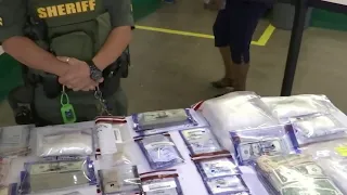 Brevard drug bust nets enough fentanyl to kill 500 000 dozens arrested sheriff says