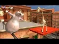 Madagascar 3 Europe's Most Wanted | Episode 10 London Part 2 | ZigZag Kids HD