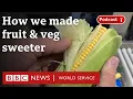 Download Lagu How and why the taste of our vegetables is changing - The Food Chain podcast, BBC World Service