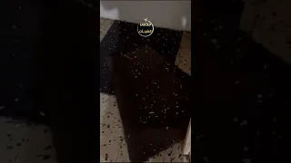 السما مطرت تلج Shorts مطر حائل السعودية امطار امطار السعودية ثلج برد 