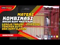 Download Lagu Suara Burung Cendet Materi Kombinasi Tengkek Buto Kunti Gereja Tarung dan Lovebird Ngekek Panjang