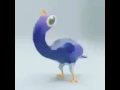 Lagu Video ngakak burung ungu
