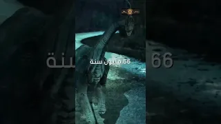 موجه أطول من ناطحة السحاب Shorts 