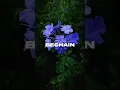 Download Lagu Kitni Bechain Hoke Tumse Mili Hindi Song ❤️😌 || Lyrics Whatsapp Status Video #shorts #lofi #lyrics