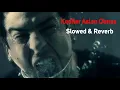 Norm Ender - Kediler Aslan Olmaz (Slowed + Reverb)