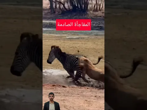 لن تصدق من حسم المعركة في اللحظة الأخيرة #shorts