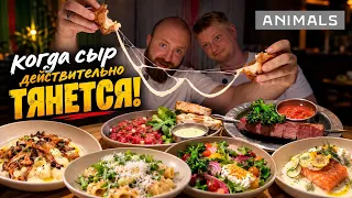 Такого нежного лосося мы еще не ели! Animals. Славный обзор.