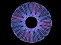 Python turtle flower