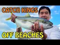 Surfcasting for KINGFISH with LIVE BAIT nzbasicfishing