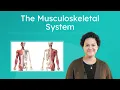 The Musculoskeletal System - How the Body Moves