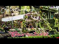 Download Lagu The Chainsmokers [Drops Only] @ TomorrowWorld 2014 Atlanta, USA | Mainstage