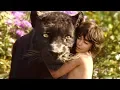 Download Lagu Jungle Jungle Baat Chali Hai (2017) The Jungle Book 3D Full Video Song