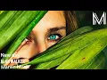 Download Lagu Alan Walker New Day | (Amazing Song 2019)
