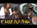 Download Lagu 🛑ጉድ ነው የአህያ ስጋ ስትሸጥ የሆነውን ተመልከቱ!!