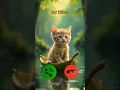 Download Lagu catcall #aicat #ringtone #ringtones #iphone #cat #shorts #catcalling #2025 #gatuno #monk