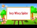 Incy Wincy Spider Nursery Rhyme | Itsy Bitsy Spider  - 3D Animation Rhymes & Songs For Children
