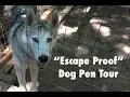 Escape Proof Dog Pen Tour