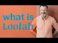 Loofah Definition of loofah