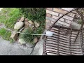 Arlo Solar panel problems fixed with a Lanmu power cord compatible with the security camera pro