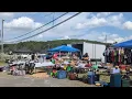 100-Mile Yard Sale held on Highway 29