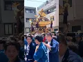 Download Lagu Sayonara Natsu 👋 Javanese Pride Dance🇯🇵 #dancetrend #edits #shortvideo #fypviral