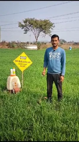 सिवनी के किसान ने नैनो डीएपी के गिनाए कैसे फायदे | वनइंडिया हिंदी