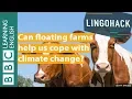 Download Can floating farms help us cope with climate change? Watch Lingohack mp4 3gp mp3 videos - waplic