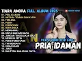 Download Lagu PRIA IDAMAN - TIARA AMORA ANTARA TEMAN DAN KASIH, TERLENA MAHESA FULL ALBUM TERBARU 2025 TANPA IKLAN