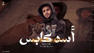 اسد كابس انا بطولي وشهدولي سعيد فتله توزيع فلسطيني ريمكس Saied Fatla Asd Kabos 2025 