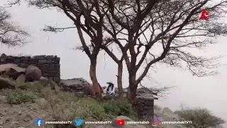 غربة البن ياعم منصور يا مروح البلد دندنها