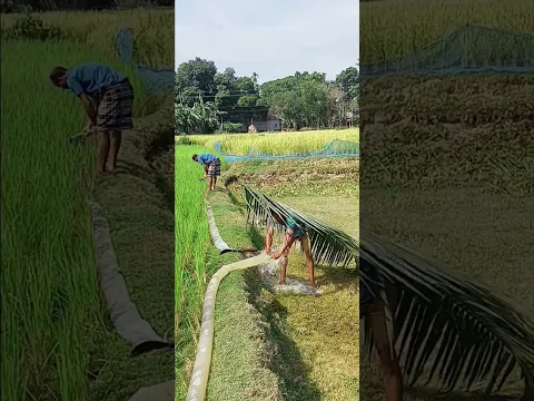 দাদা দেখো ছেলেটির মাথায় কি বুদ্ধি 🤣🤣