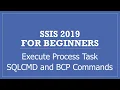How to execute SQLCMD and BCP Commands using SSIS Package for Data Exports