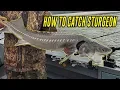 How To Fish Sturgeon In Depth Tutorial For SUCCESS FISH ON