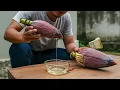 Download Lagu Miljoenen mensen geloven het niet! Maak van een bananenbloesem hoogwaardige verf.
